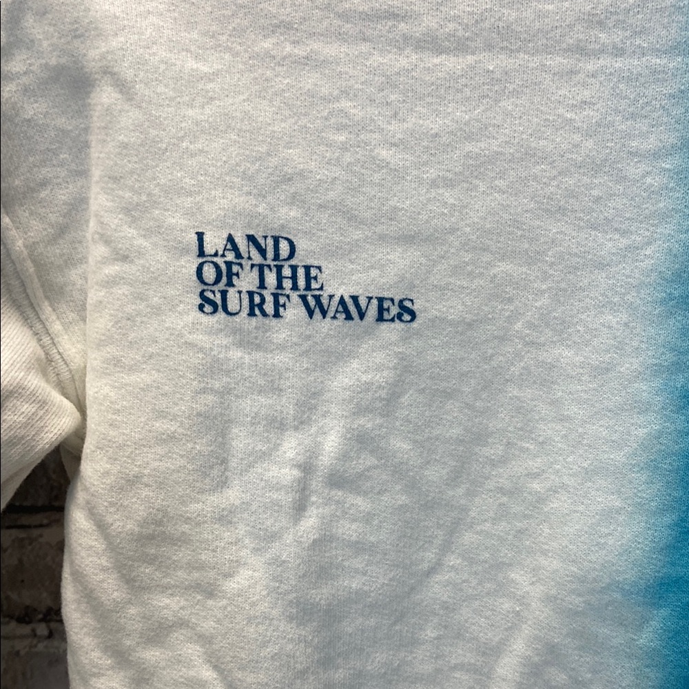 Zara Blue and White Graphic Sweatshirt - Picture 2 of 8